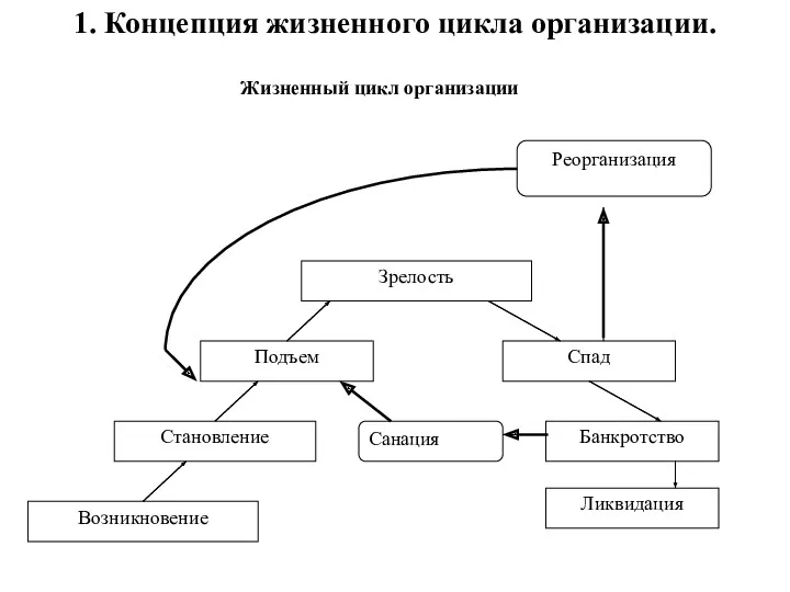 1. Концепция жизненного цикла организации. Жизненный цикл организации