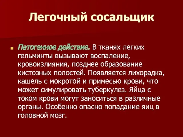 Легочный сосальщик Патогенное действие. В тканях легких гельминты вызывают воспаление,