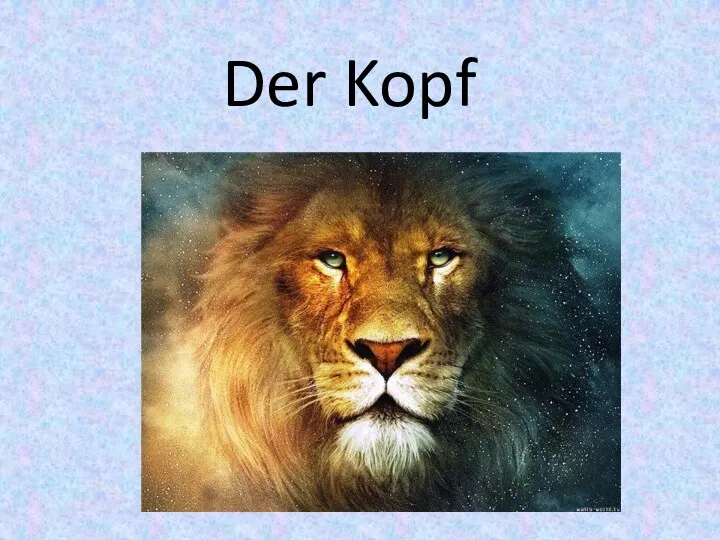 Der Kopf