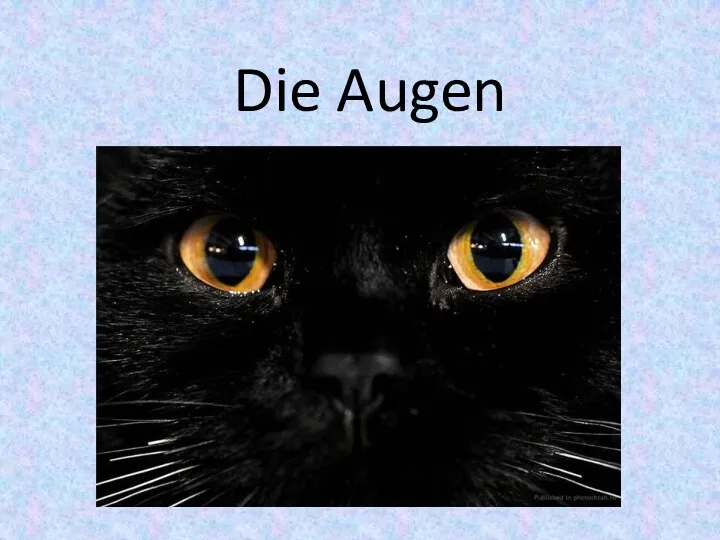 Die Augen