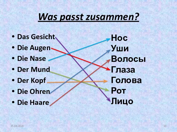 Was passt zusammen? Das Gesicht Die Augen Die Nase Der