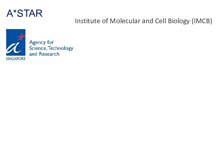 A*STAR Institute of Molecular and Cell Biology (IMCB)