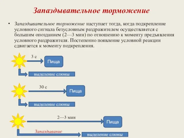 Запаздывательное торможение Запаздывательное торможение наступает тогда, когда подкрепление условного сигнала