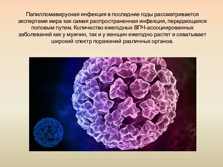 Папилломавирусная инфекция в последние годы рассматривается экспертами мира как самая