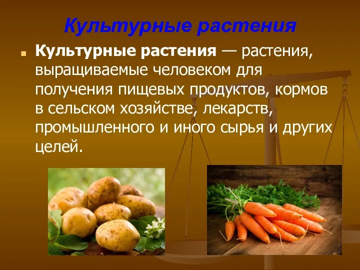 Культурные растения Культурные растения — растения, выращиваемые человеком для получения