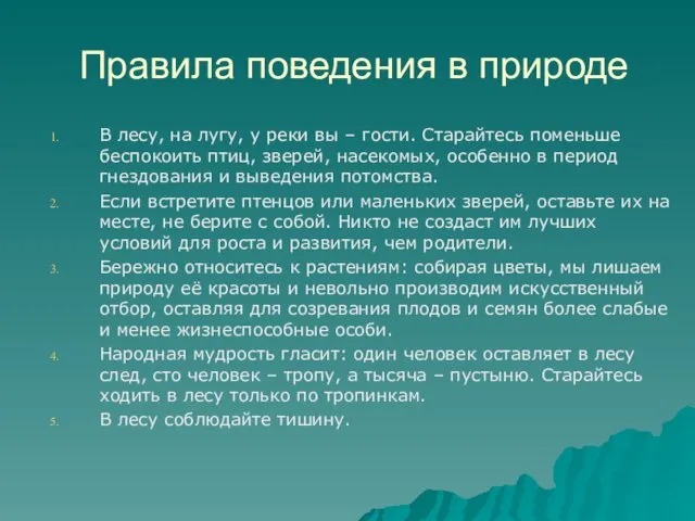 Правила поведения в природе В лесу, на лугу, у реки