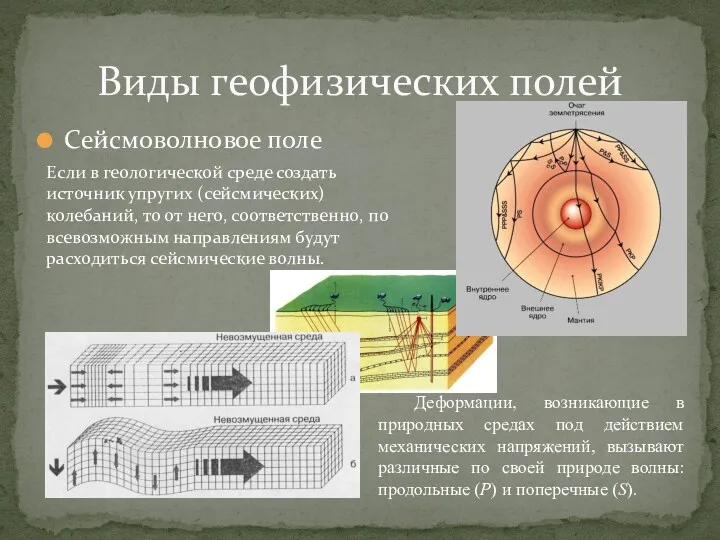 Сейсмоволновое поле Виды геофизических полей Деформации, возникающие в природных средах