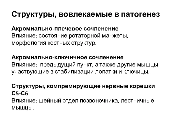 Акромиально-плечевое сочленение Влияние: состояние ротаторной манжеты, морфология костных структур. Акромиально-ключичное