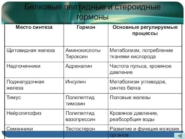 Белковые пептидные и стероидные гормоны