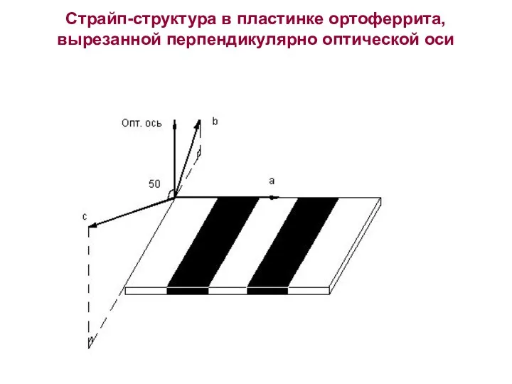 Страйп-структура в пластинке ортоферрита, вырезанной перпендикулярно оптической оси