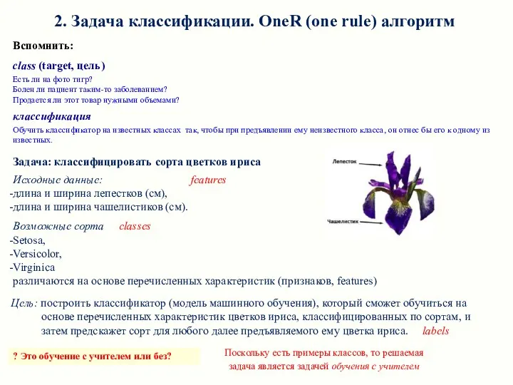 Вспомнить: class (target, цель) Есть ли на фото тигр? Болен