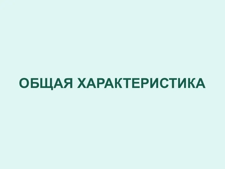 ОБЩАЯ ХАРАКТЕРИСТИКА