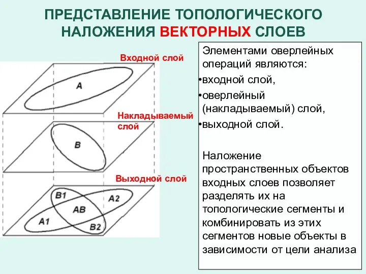 ПРЕДСТАВЛЕНИЕ ТОПОЛОГИЧЕСКОГО НАЛОЖЕНИЯ ВЕКТОРНЫХ СЛОЕВ Элементами оверлейных операций являются: входной