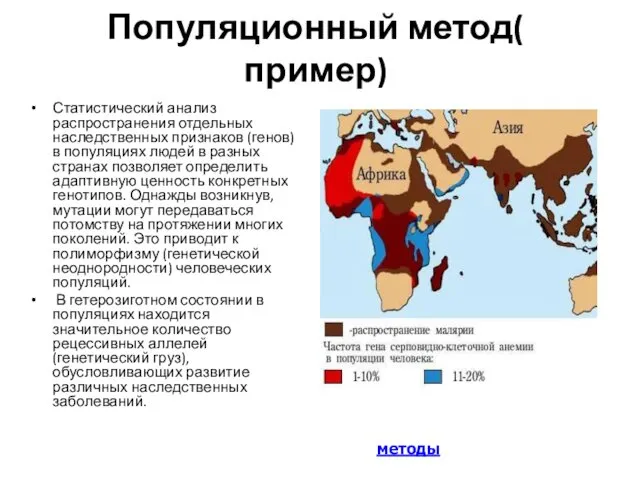 Популяционный метод( пример) Статистический анализ распространения отдельных наследственных признаков (генов)