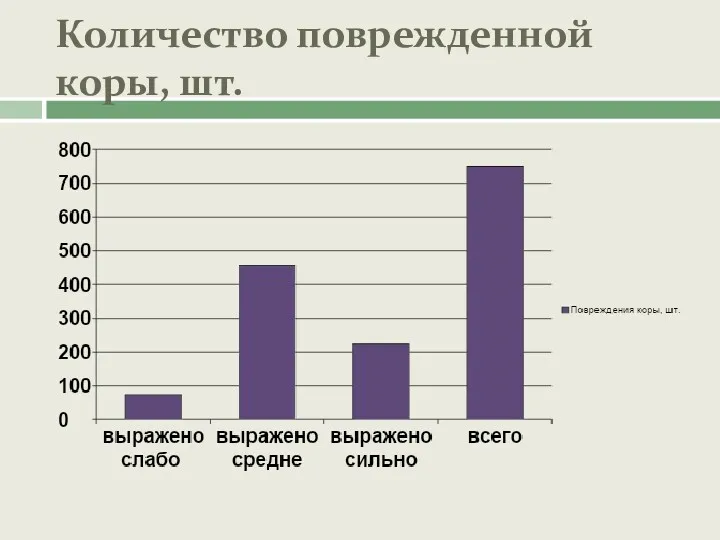 Количество поврежденной коры, шт.