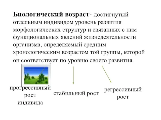 Биологический возраст- достигнутый отдельным индивидом уровень развития морфологических структур и