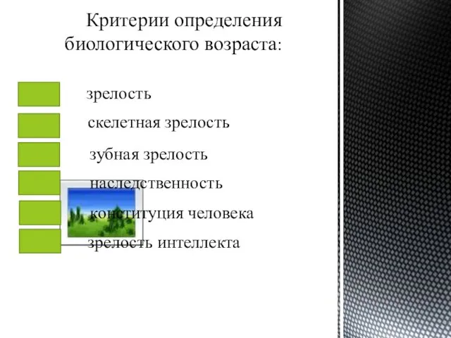 Критерии определения биологического возраста: зрелость скелетная зрелость зубная зрелость наследственность конституция человека зрелость интеллекта