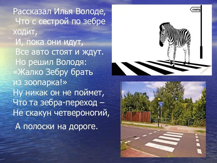 Рассказал Илья Володе, Что с сестрой по зебре ходит, И,