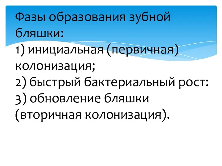 Фазы образования зубной бляшки: 1) инициальная (первичная) колонизация; 2) быстрый