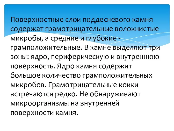 Поверхностные слои поддесневого камня содержат грамотрицательные волокнистые микробы, а средние