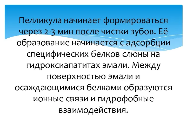 Пелликула начинает формироваться через 2-3 мин после чистки зубов. Её образование начинается с