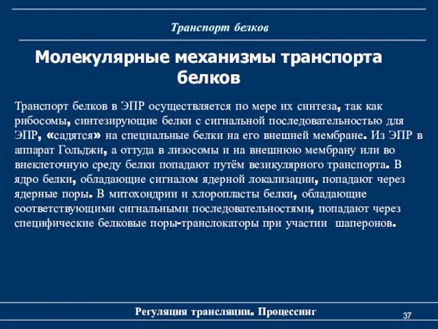 Транспорт белков Регуляция трансляции. Процессинг Молекулярные механизмы транспорта белков Транспорт