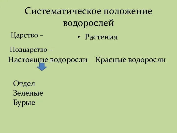 Систематическое положение водорослей Царство – Растения Настоящие водоросли Красные водоросли Отдел Зеленые Бурые Подцарство –