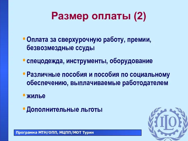 Размер оплаты (2) Оплата за сверхурочную работу, премии, безвозмездные ссуды