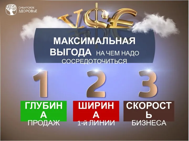 МАКСИМАЛЬНАЯ ВЫГОДА НА ЧЕМ НАДО СОСРЕДОТОЧИТЬСЯ ГЛУБИНА ПРОДАЖ ШИРИНА 1-й ЛИНИИ СКОРОСТЬ БИЗНЕСА