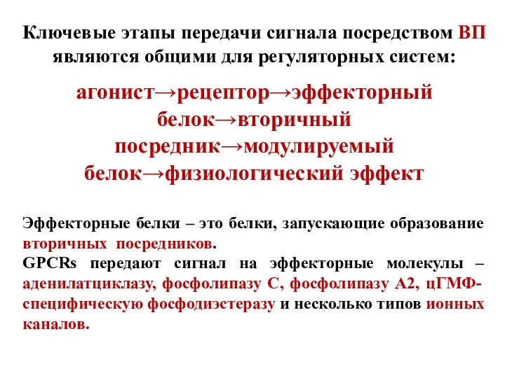 Ключевые этапы передачи сигнала посредством ВП являются общими для регуляторных