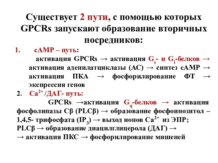 Существует 2 пути, с помощью которых GPCRs запускают образование вторичных