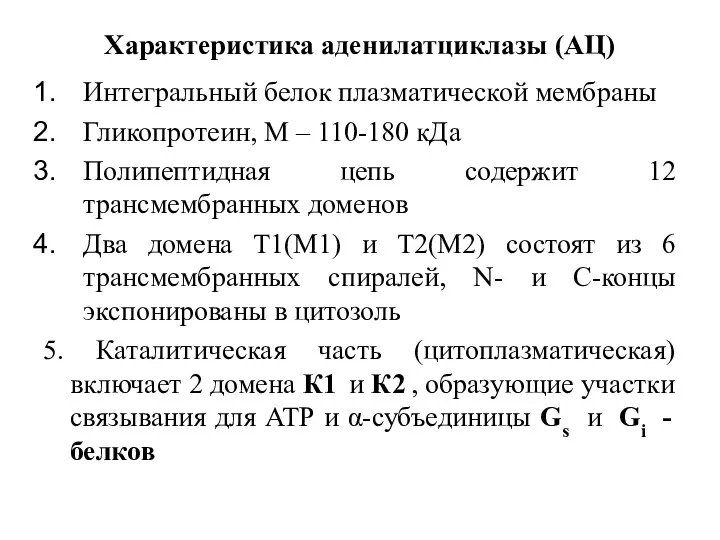 Характеристика аденилатциклазы (АЦ) Интегральный белок плазматической мембраны Гликопротеин, М –