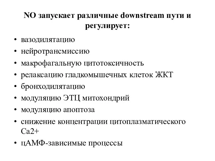 NO запускает различные downstream пути и регулирует: вазодилятацию нейротрансмиссию макрофагальную