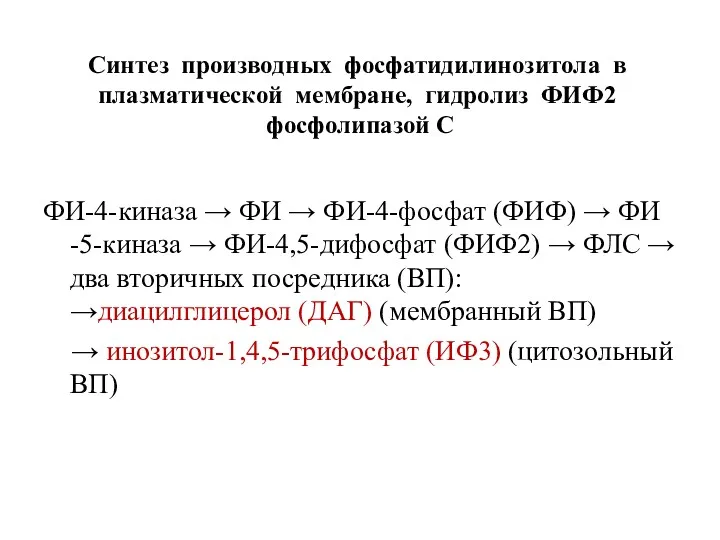 Синтез производных фосфатидилинозитола в плазматической мембране, гидролиз ФИФ2 фосфолипазой С