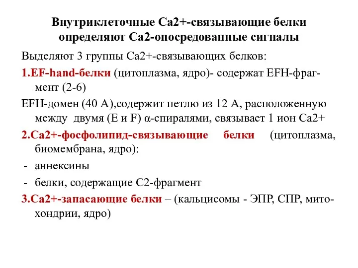 Внутриклеточные Са2+-связывающие белки определяют Са2-опосредованные сигналы Выделяют 3 группы Са2+-связывающих