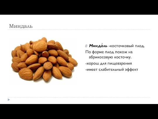 Миндаль Минда́ль -косточковый плод. По форме плод похож на абрикосовую