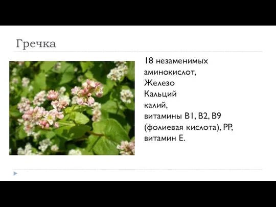 Гречка 18 незаменимых аминокислот, Железо Кальций калий, витамины В1, В2, В9 (фолиевая кислота), PP, витамин Е.