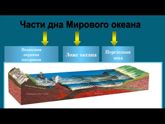 Подводная окраина материков Ложе океана Переходная зона Части дна Мирового океана