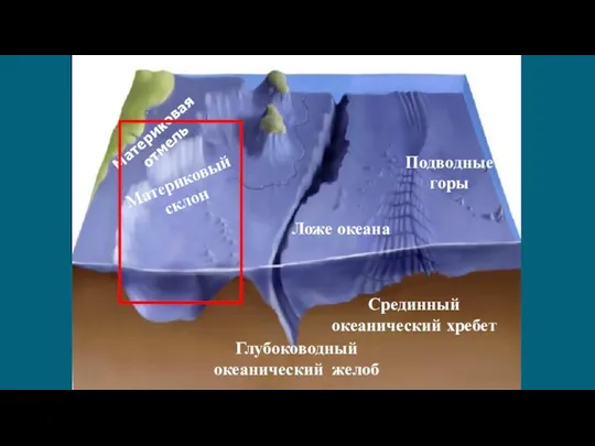 Рельеф дна Мирового океана Материковая отмель Материковый склон Ложе океана