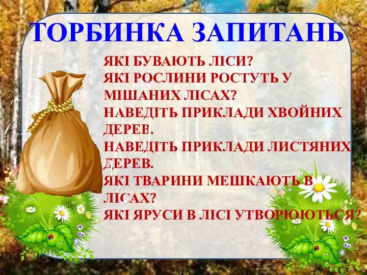 ТОРБИНКА ЗАПИТАНЬ ЯКІ БУВАЮТЬ ЛІСИ? ЯКІ РОСЛИНИ РОСТУТЬ У МІШАНИХ