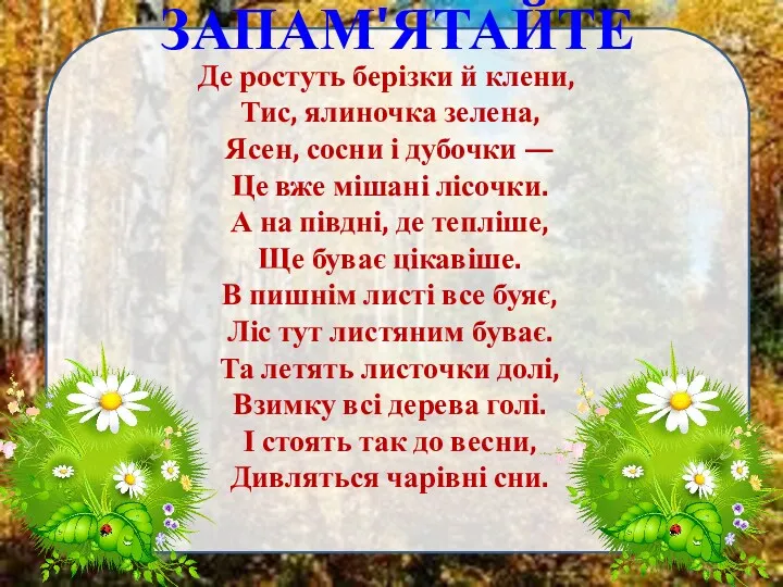 ЗАПАМ'ЯТАЙТЕ Де ростуть берізки й клени, Тис, ялиночка зелена, Ясен,