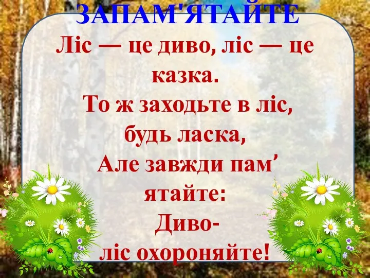 ЗАПАМ'ЯТАЙТЕ Ліс — це диво, ліс — це казка. То