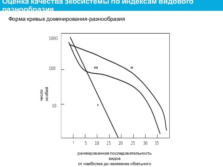 Форма кривых доминирования-разнообразия число особей ранжированная последовательность видов от наиболее