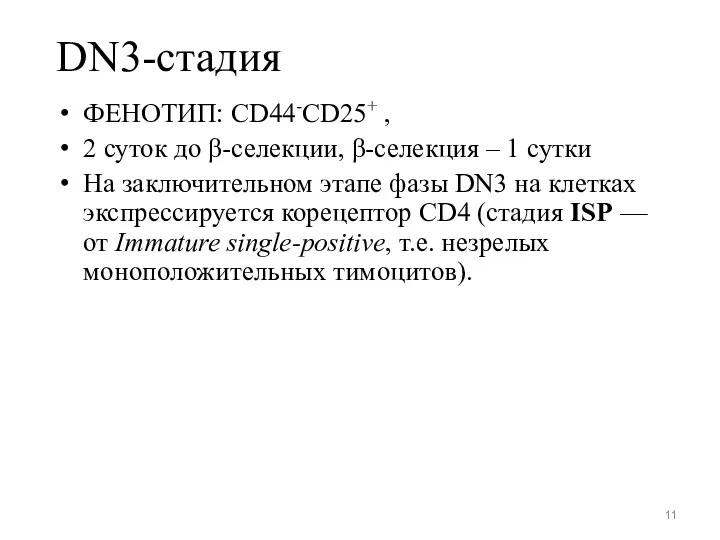 ФЕНОТИП: CD44-CD25+ , 2 суток до β-селекции, β-селекция – 1