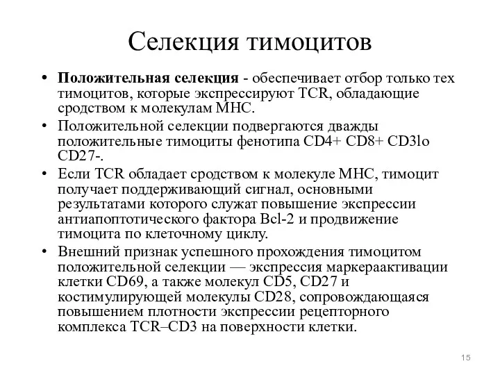 Селекция тимоцитов Положительная селекция - обеспечивает отбор только тех тимоцитов,