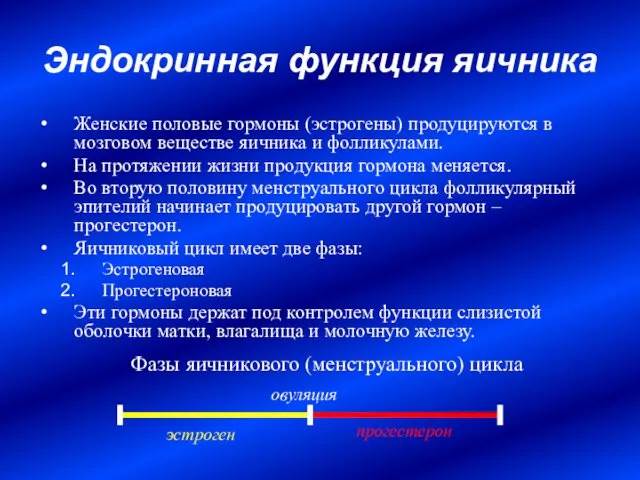 Эндокринная функция яичника Женские половые гормоны (эстрогены) продуцируются в мозговом