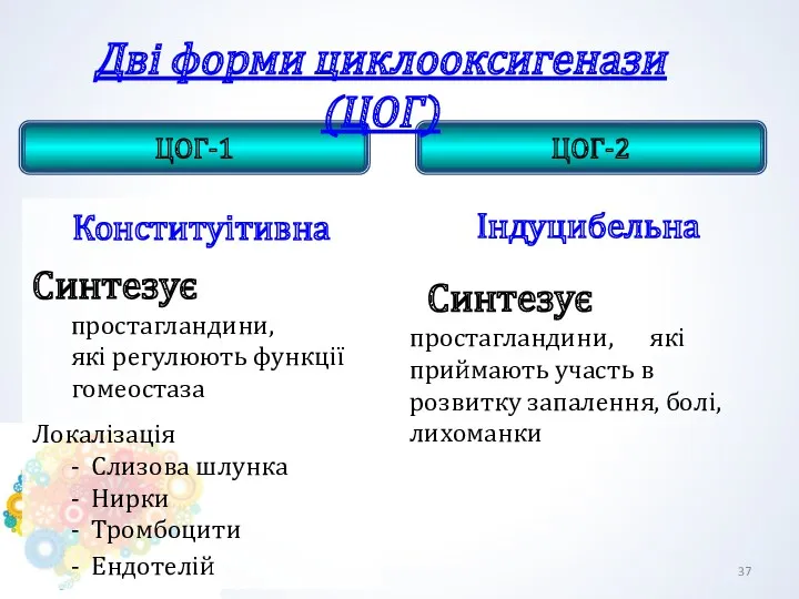 ЦОГ-1 Конституітивна Синтезує простагландини, які регулюють функції гомеостаза Локалізація -