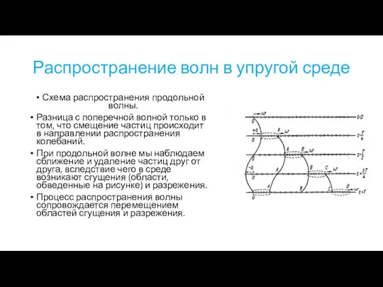 Распространение волн в упругой среде Схема распространения продольной волны. Разница