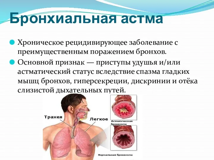 Бронхиальная астма Хроническое рецидивирующее заболевание с преимущественным поражением бронхов. Основной