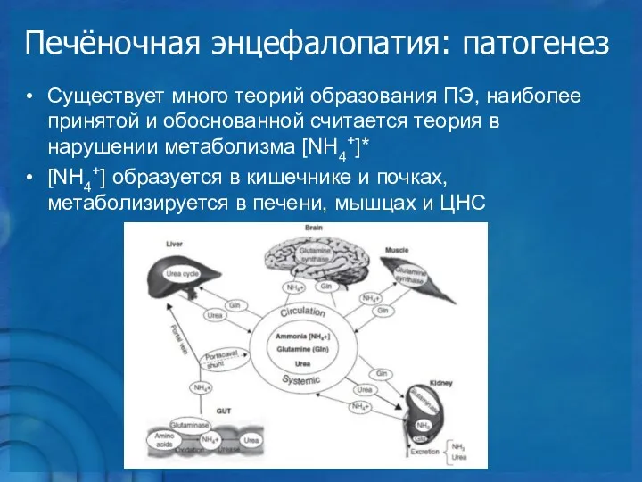 Печёночная энцефалопатия: патогенез Существует много теорий образования ПЭ, наиболее принятой